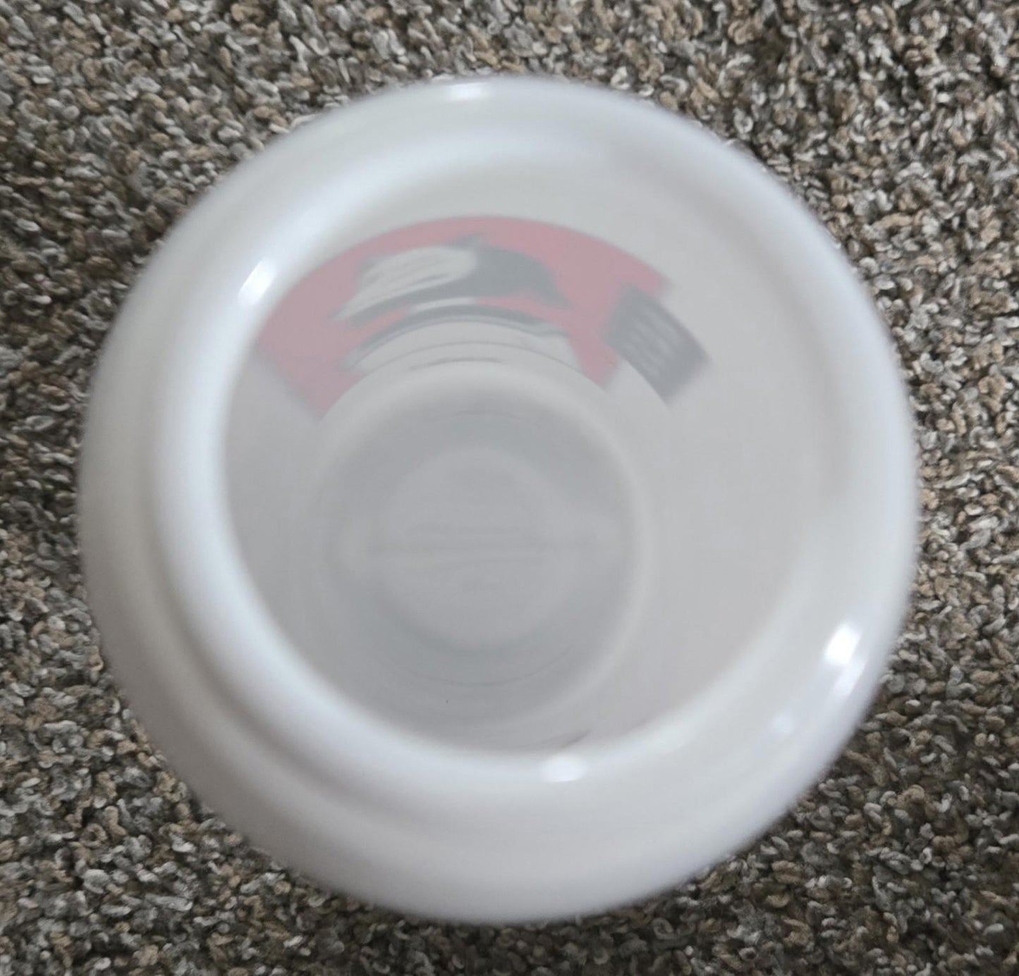 Zak! Kawaii Water Bottle