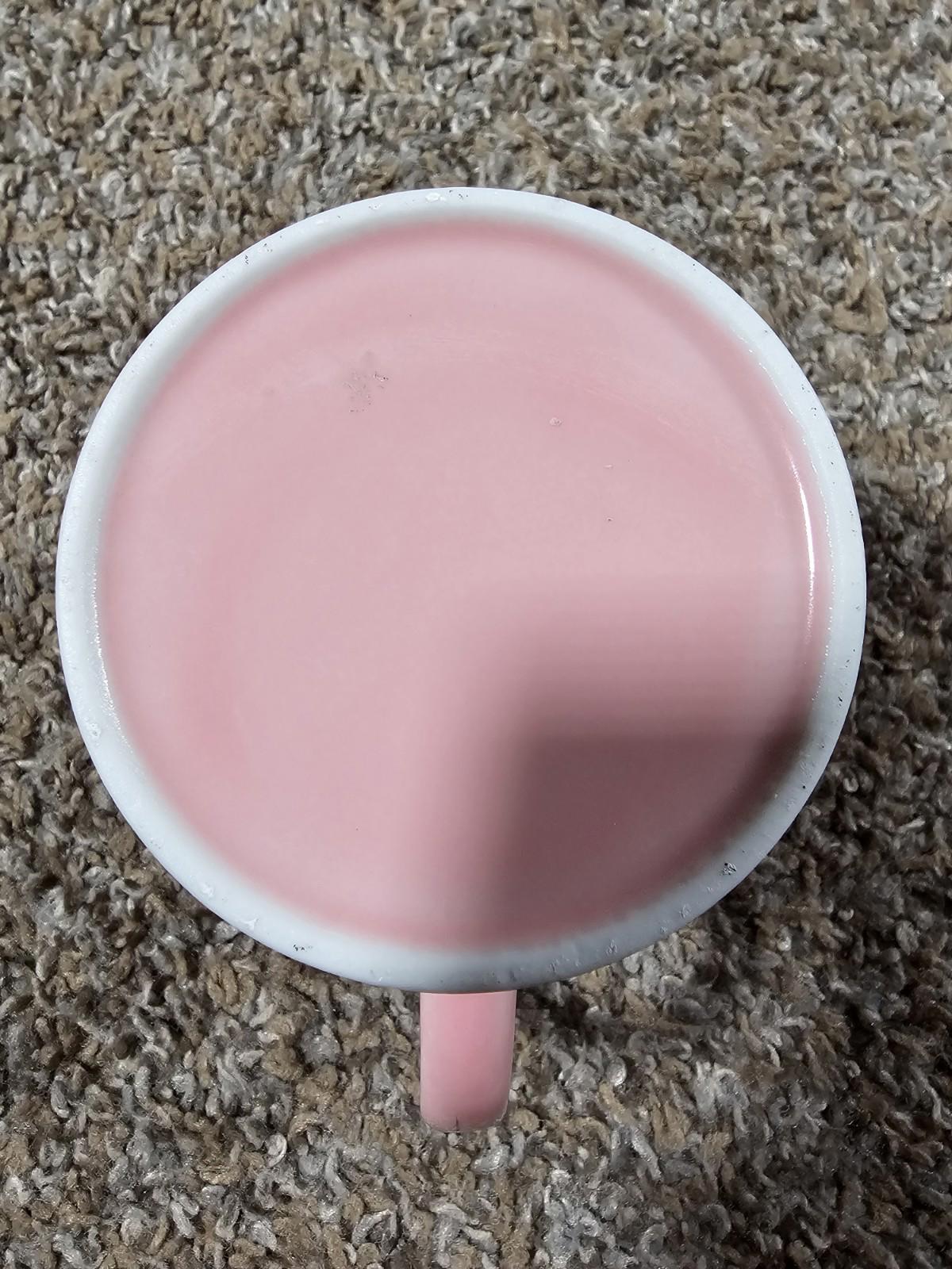 florida flamingo pink coffee mug