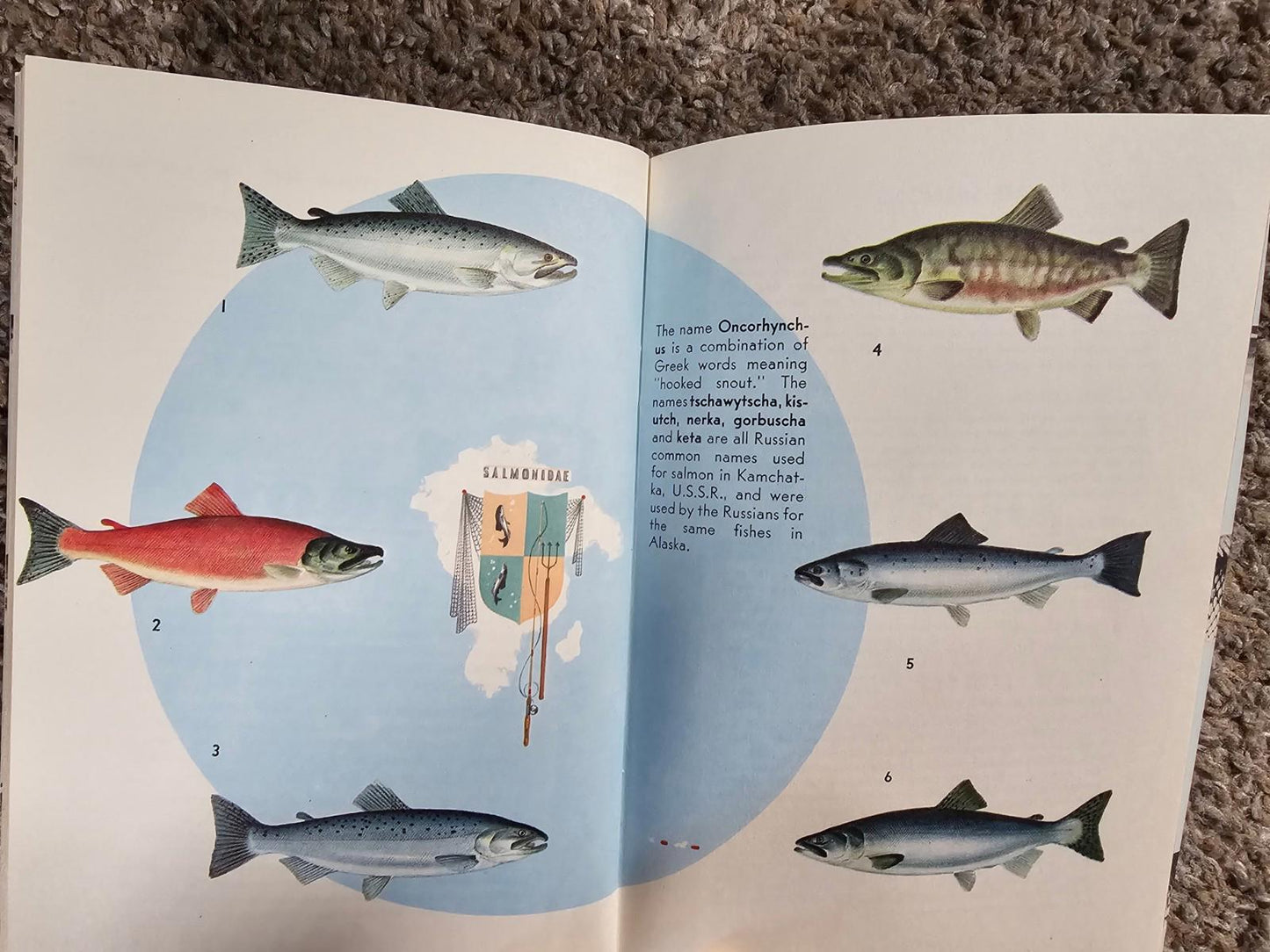 Sports Afield Know Your Fish Guide Book Vintage 1960 Tom Dolan