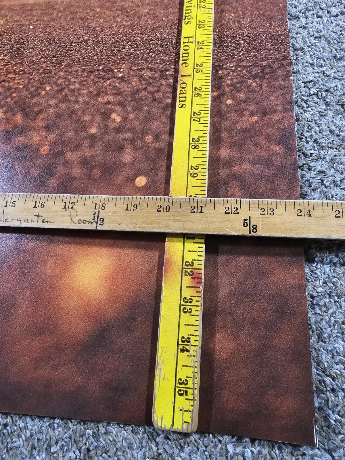 TREK FACTORY RACING Fullsize poster 36x24 Bontrager Shimano