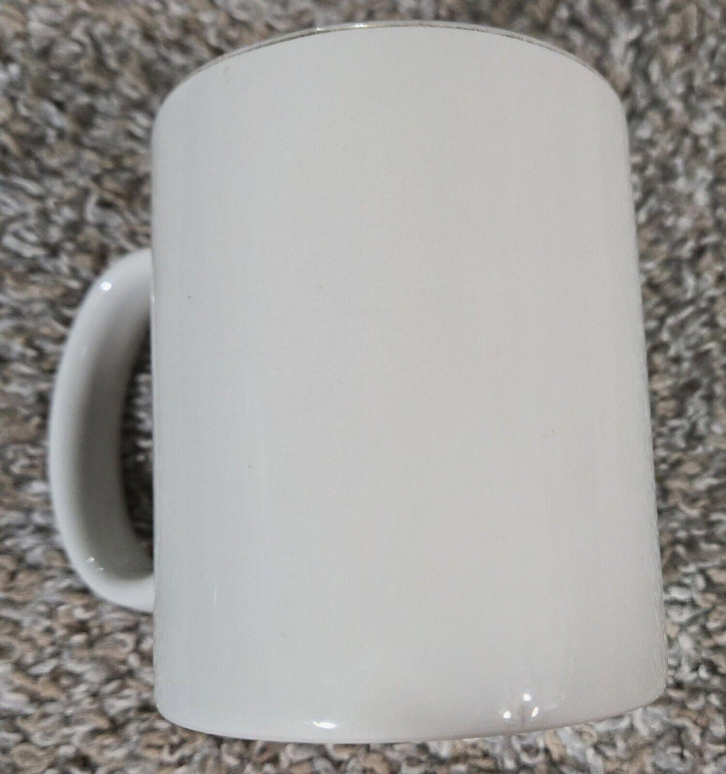 Loon With Loonlets Coffee Mug With Gold Accents
