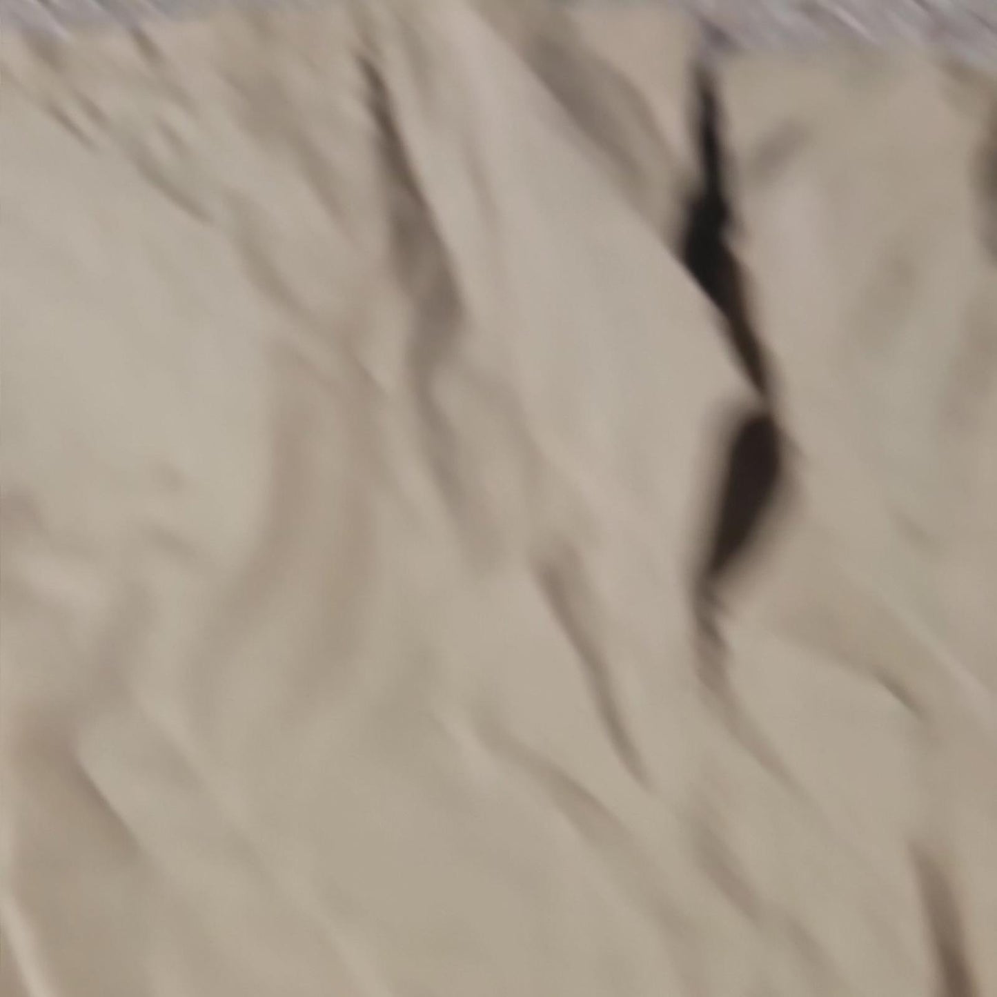 Eddie Bauer EarthTech L Nylon Belted Hiking Shorts