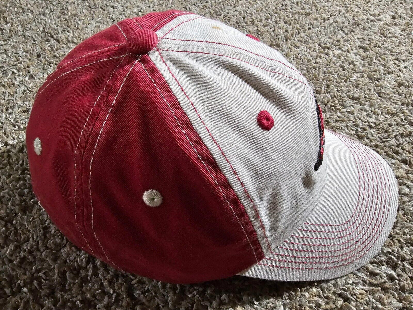 Vintage Arkansas Razorbacks Hat - Starter Team NWT NWD