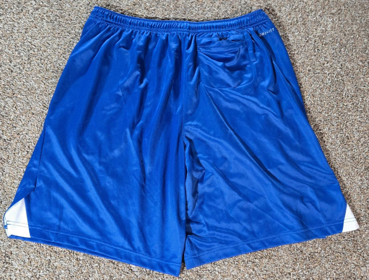 Nike Dri Fit drawstring athletic shorts XL blue LAKE MILLS