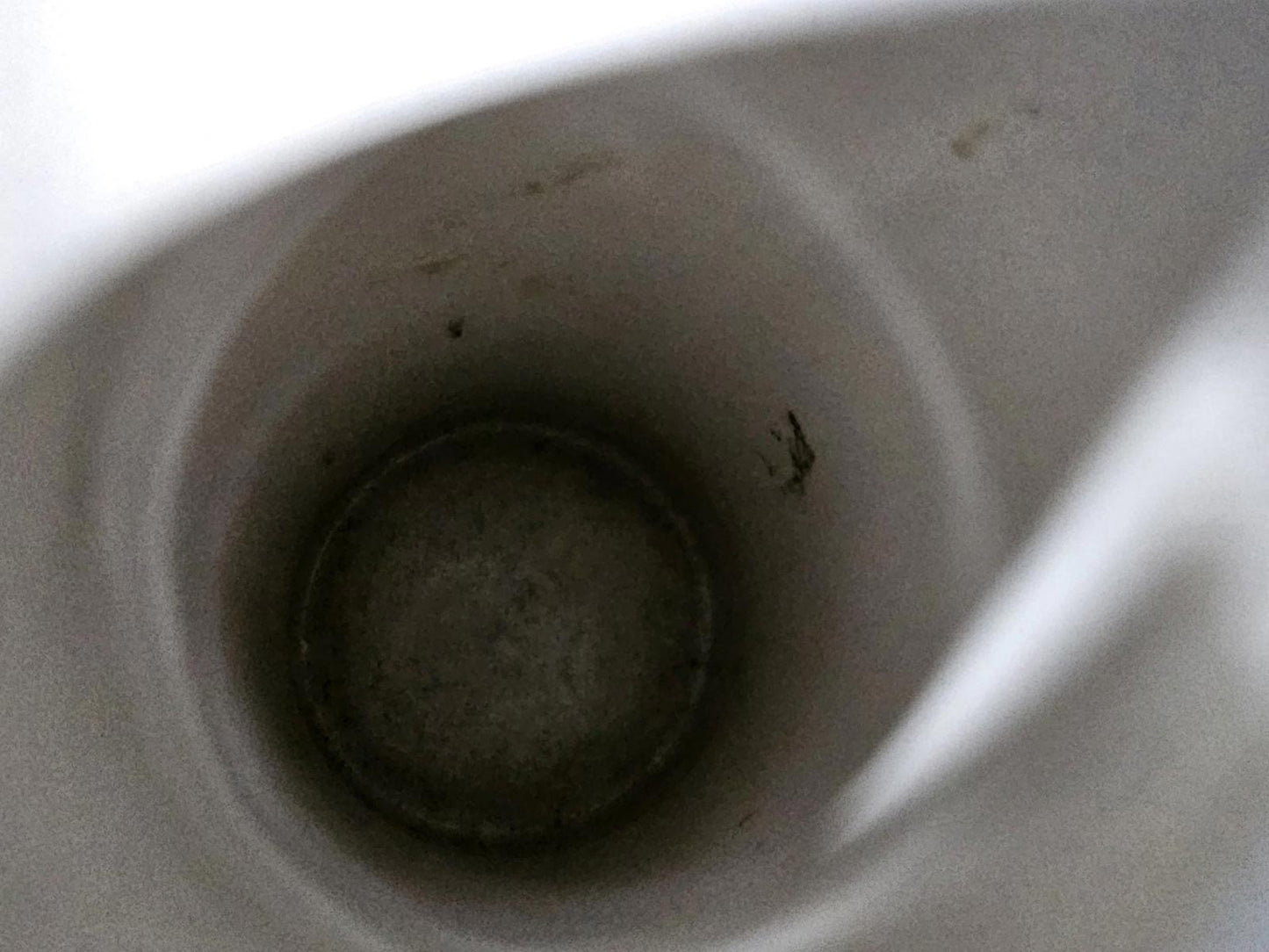 Miller Brewing Company 2000 Holiday Stein Winter Watch Beer Mug Stein