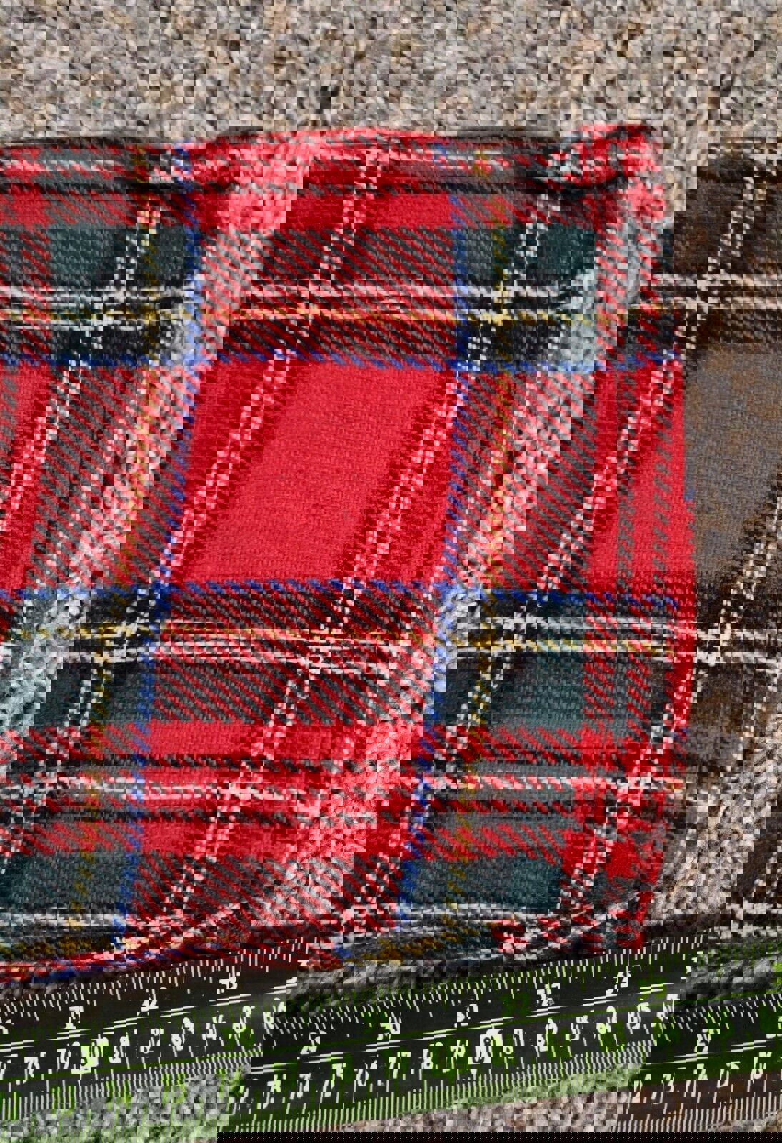 Tiger Of London Plaid Flannel Bondage Zippper Punk Pants 34
