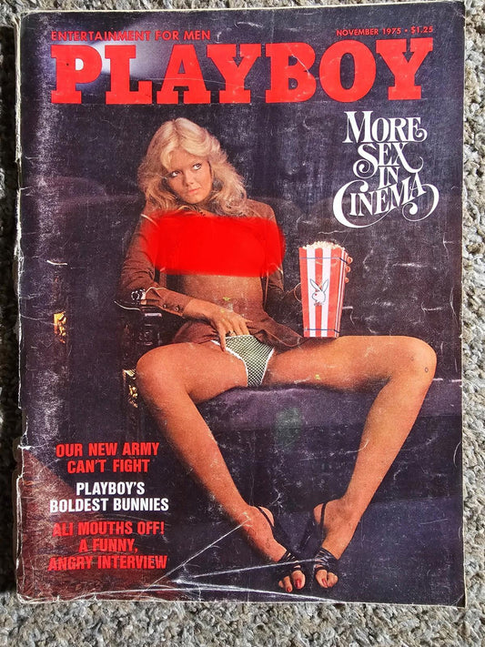Vintage PLAYBOY MAGAZINE NOVEMBER 1975 JANET LUPO CENTERFOLD