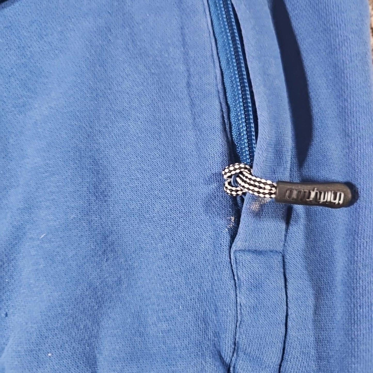 2032 In The Future Everyone Will Snowboard SM Hoodie