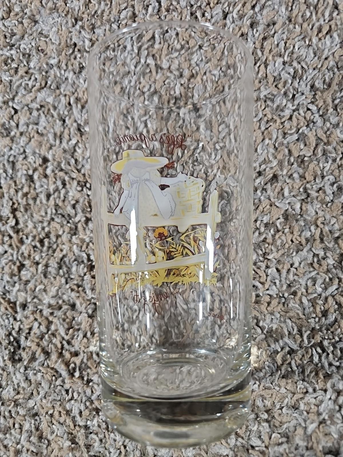 1969 American Greetings Holly Hobbie Lifes A Picnic Glass Tumbler