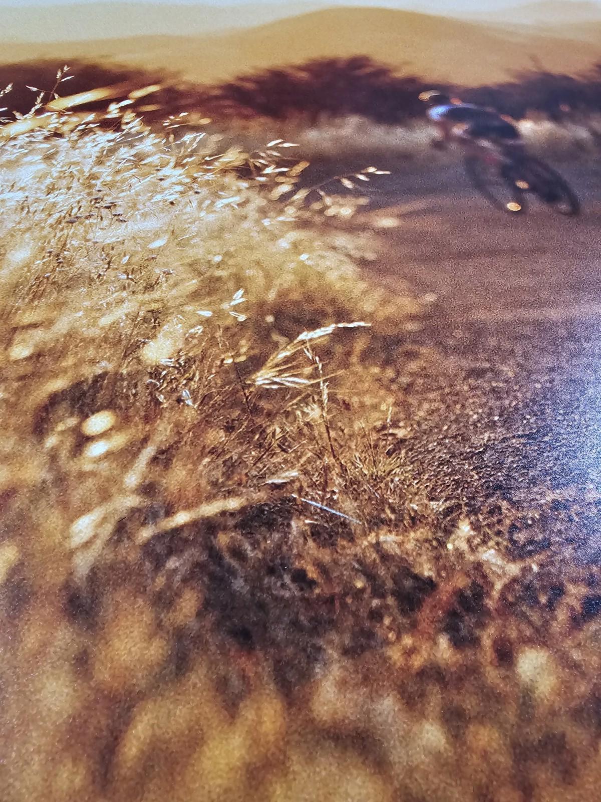 TREK FACTORY RACING Fullsize poster 36x24 Bontrager Shimano