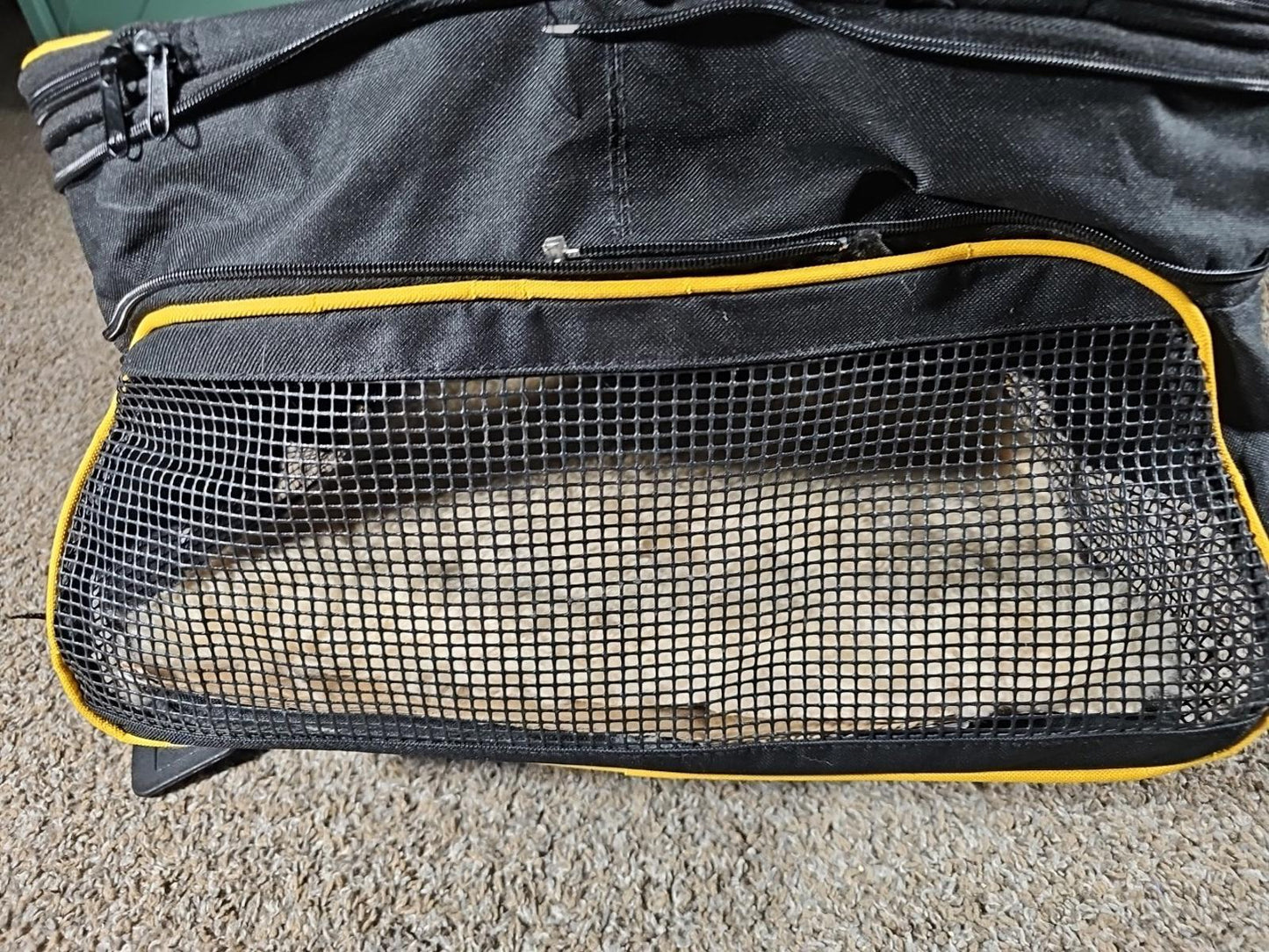 SOUTHWEST Airlines Flying Pet Carrier Shoulder Crossbody