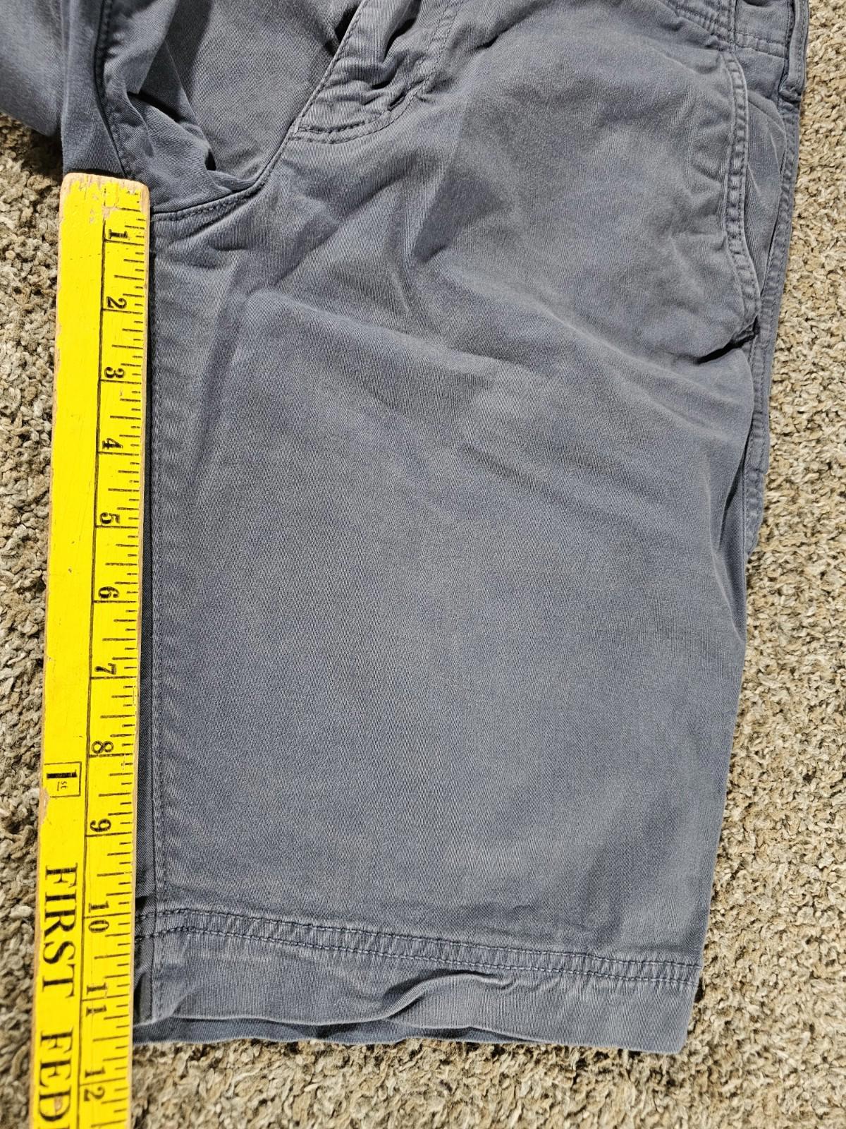 American Eagle Extreme Flex 29 Long Length Shorts Blue Gray