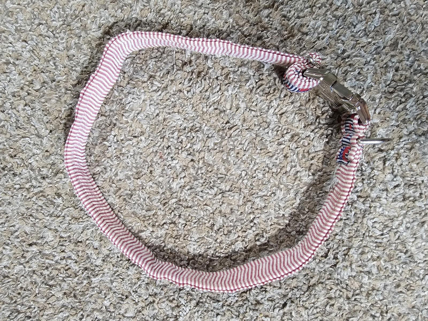 GOP Elephant dog collar Red White Blue Stripe