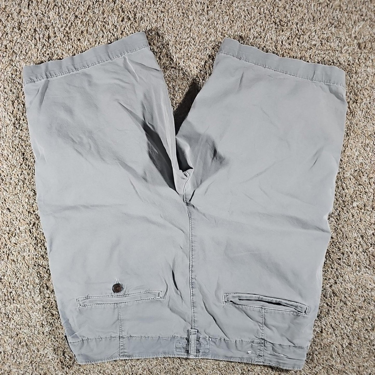 American Eagle Sz 32 Next Level Flex Shorts
