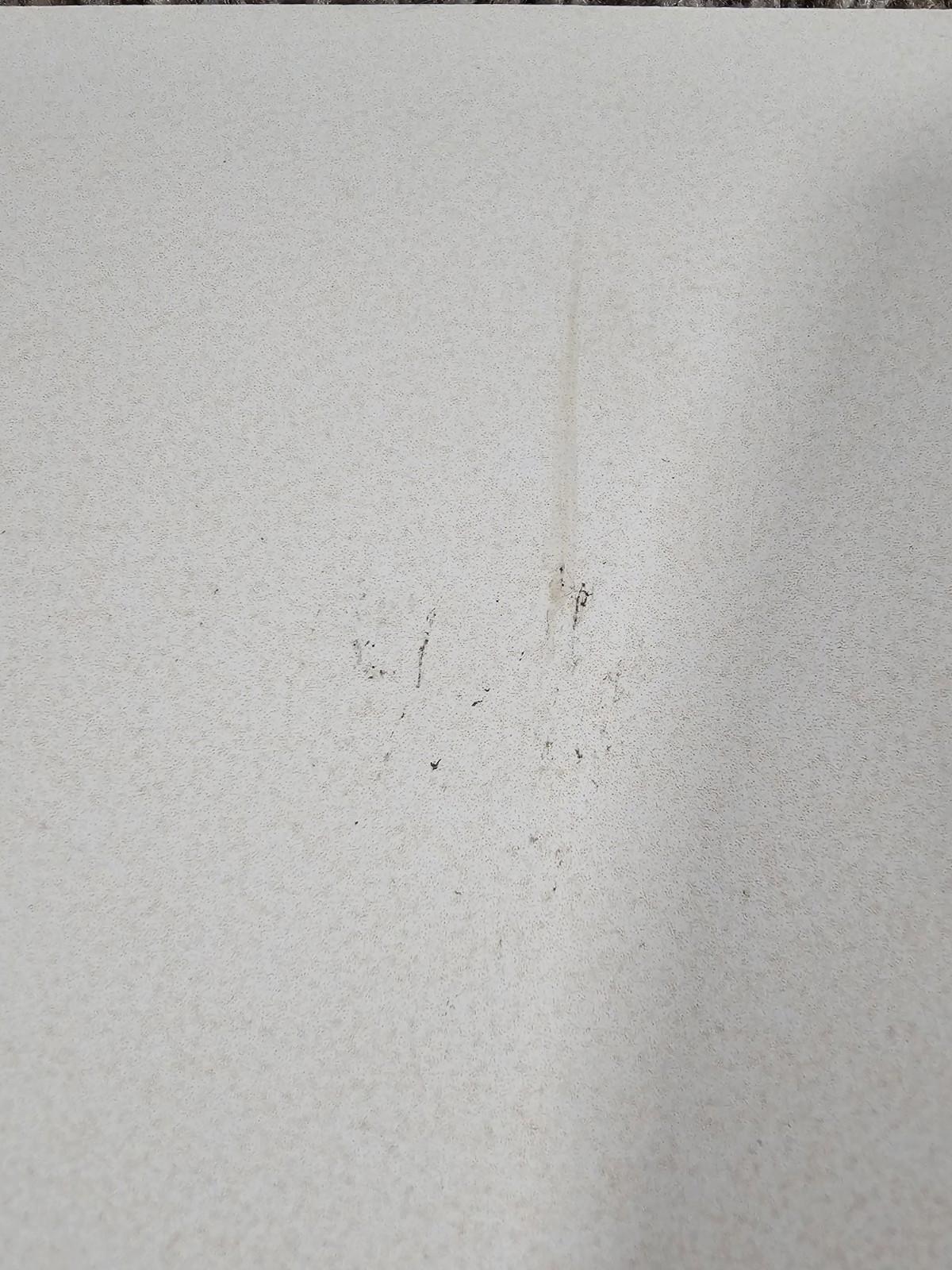 TREK FACTORY RACING Fullsize poster 36x24 Bontrager Shimano