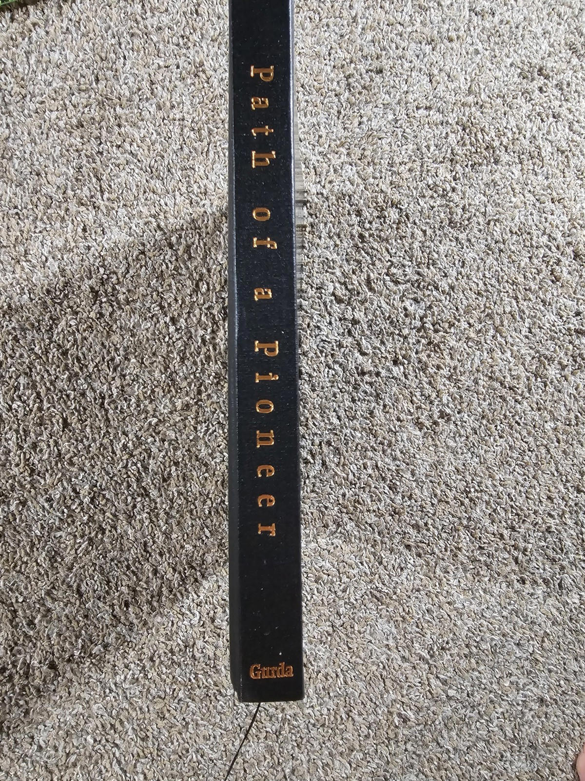 John Gurda PATH OF A PIONEER History of the Wisconsin Electric Power Company