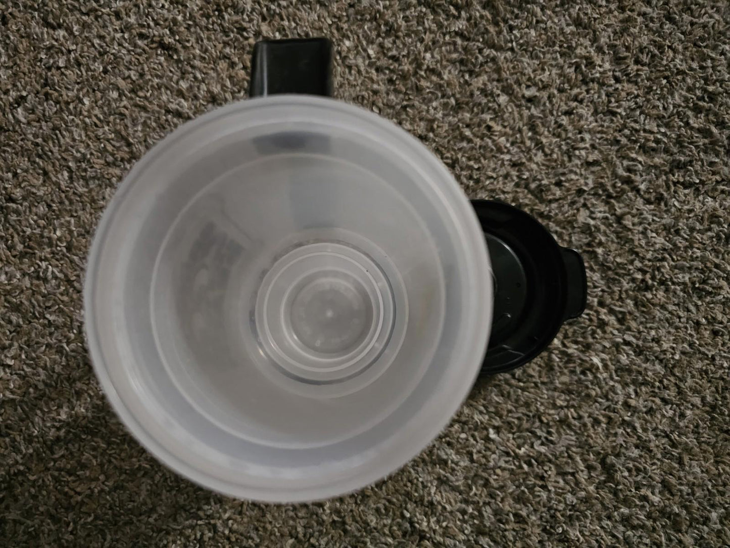 Wicked Wheel Whirley Travel Mug With Lid Panama City Florida