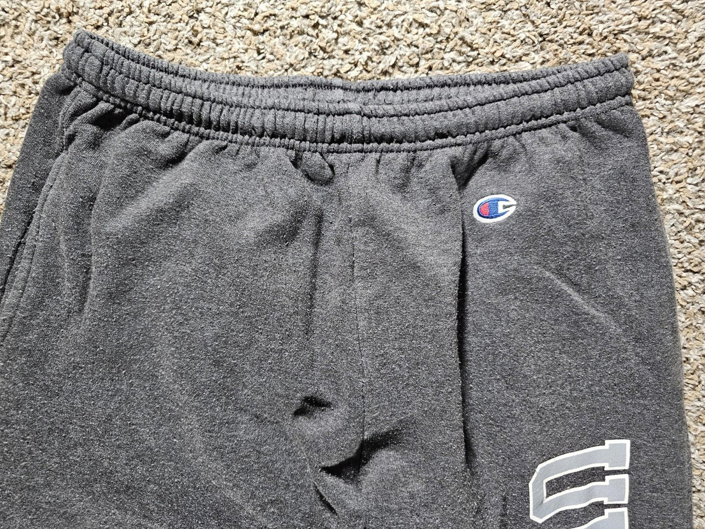 UW La Crosse Champion sweatpants Gray Medium