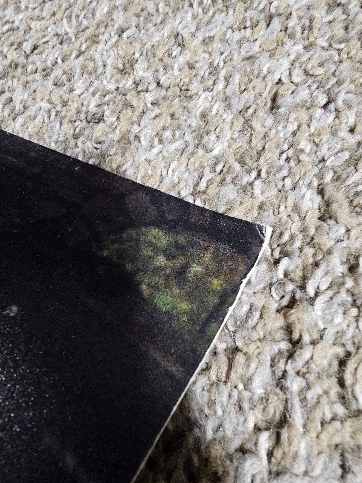 TREK FACTORY RACING Fullsize poster 36x24 Bontrager Shimano