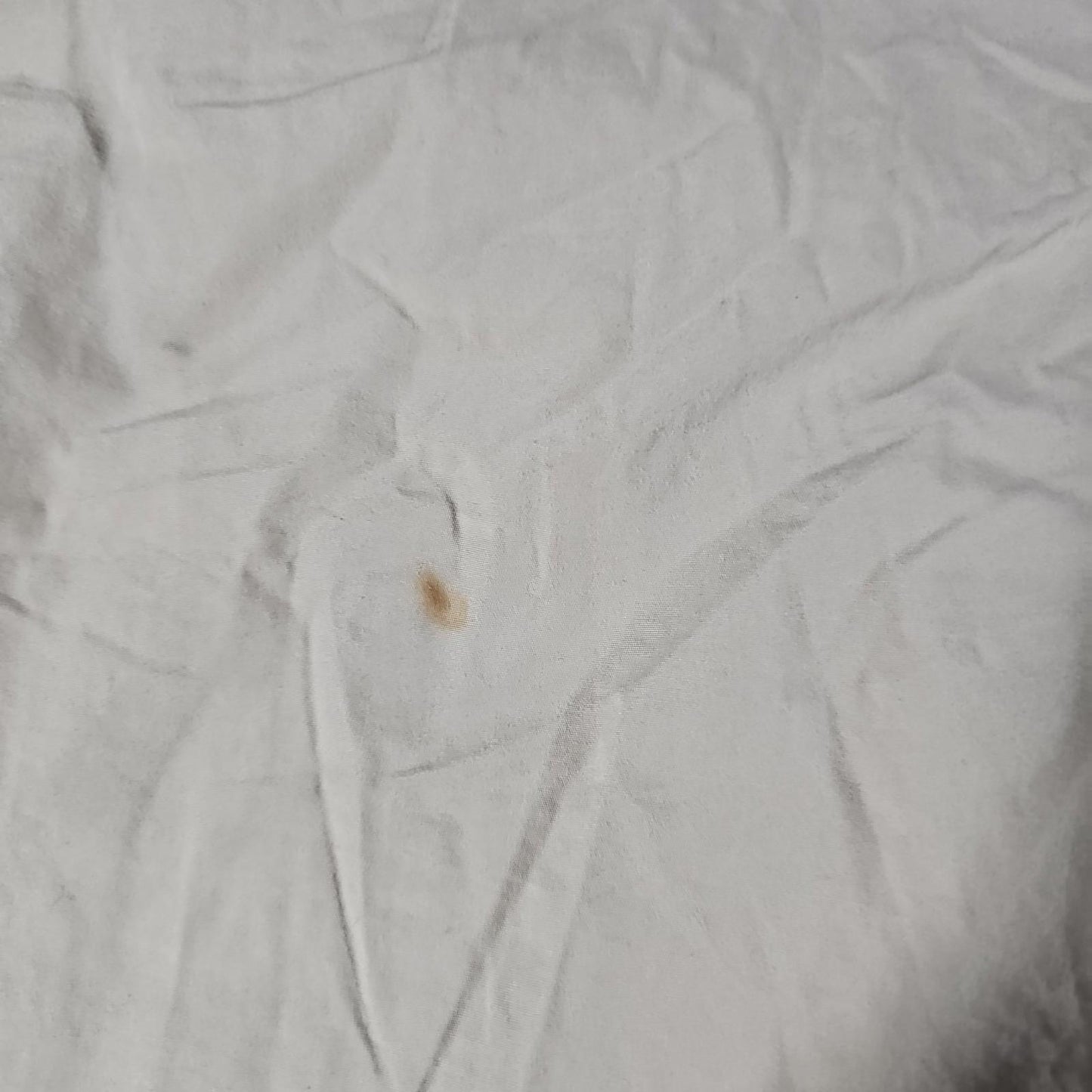 Calvin Klein 33 Shorts Stained