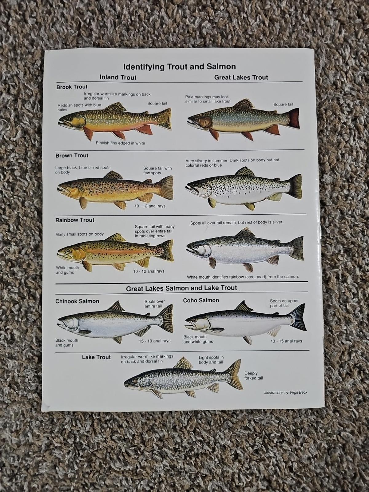 1998-1999 Wisconsin Trout Fishing Guide And Maps