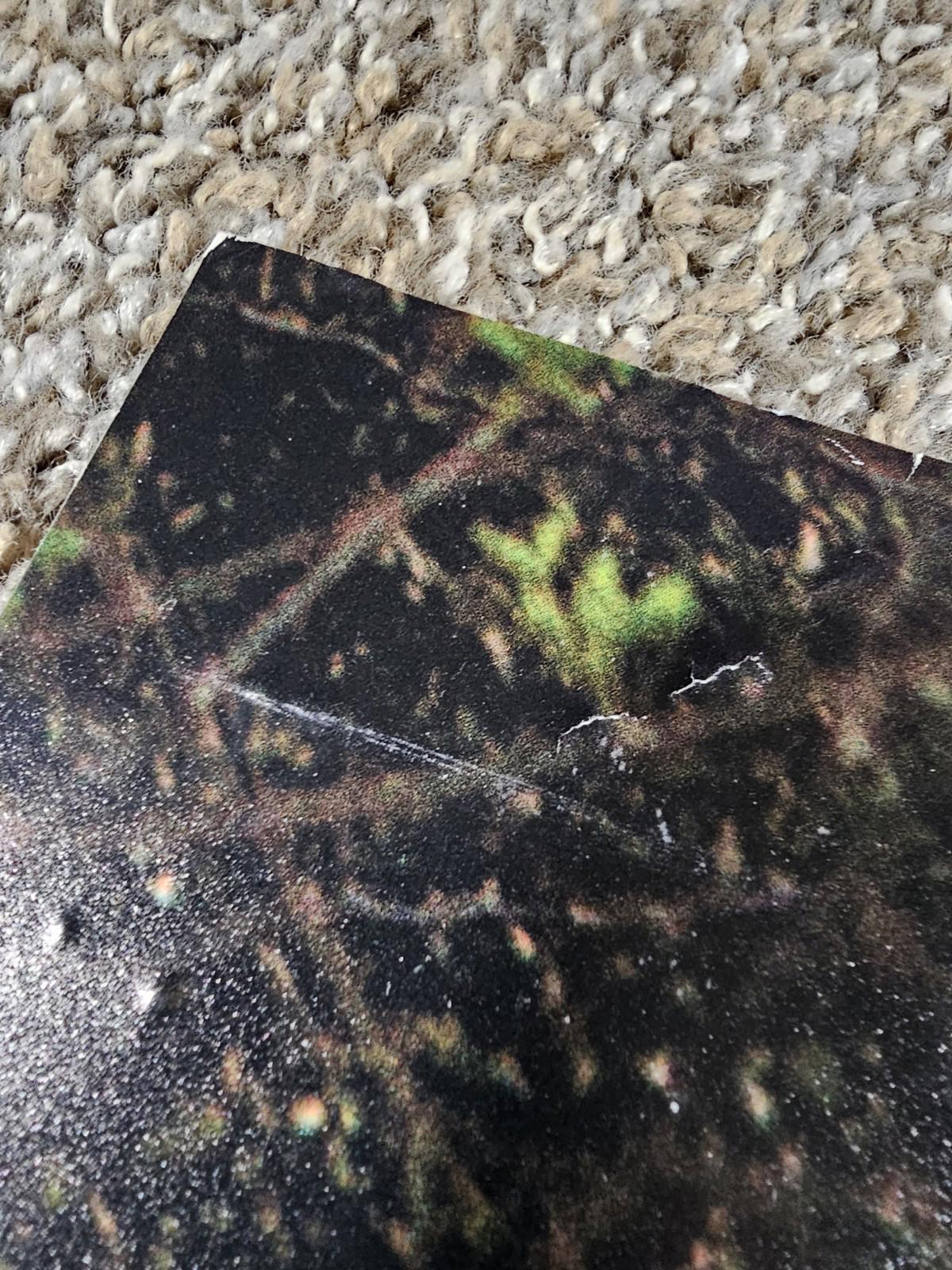 TREK FACTORY RACING Fullsize poster 36x24 Bontrager Shimano