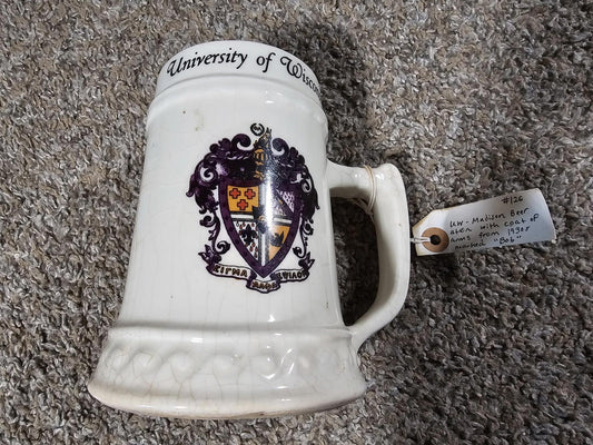 university of wisconsin vintage 30s-50s Sigma Alpha Epsilon coat of arms stein
