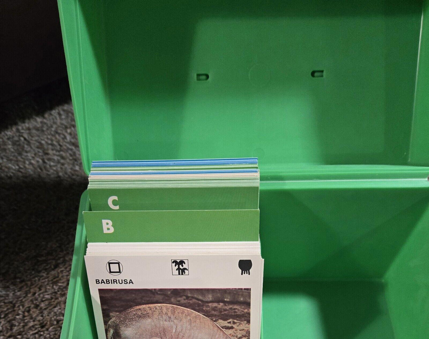 Illustrated Wildlife Treasury Green Plastic Box As Is With Some Cards