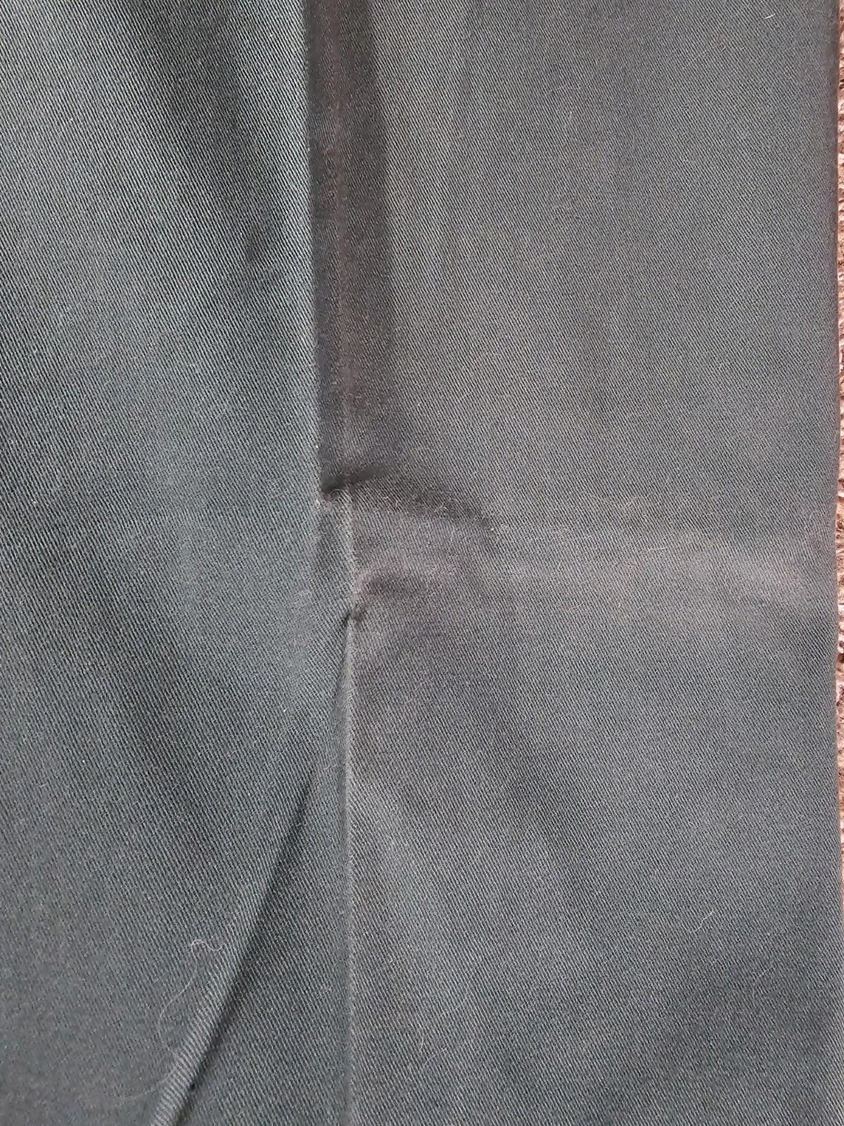 POLO Palm Desert Pants Green Pleated Pants NWT NWD