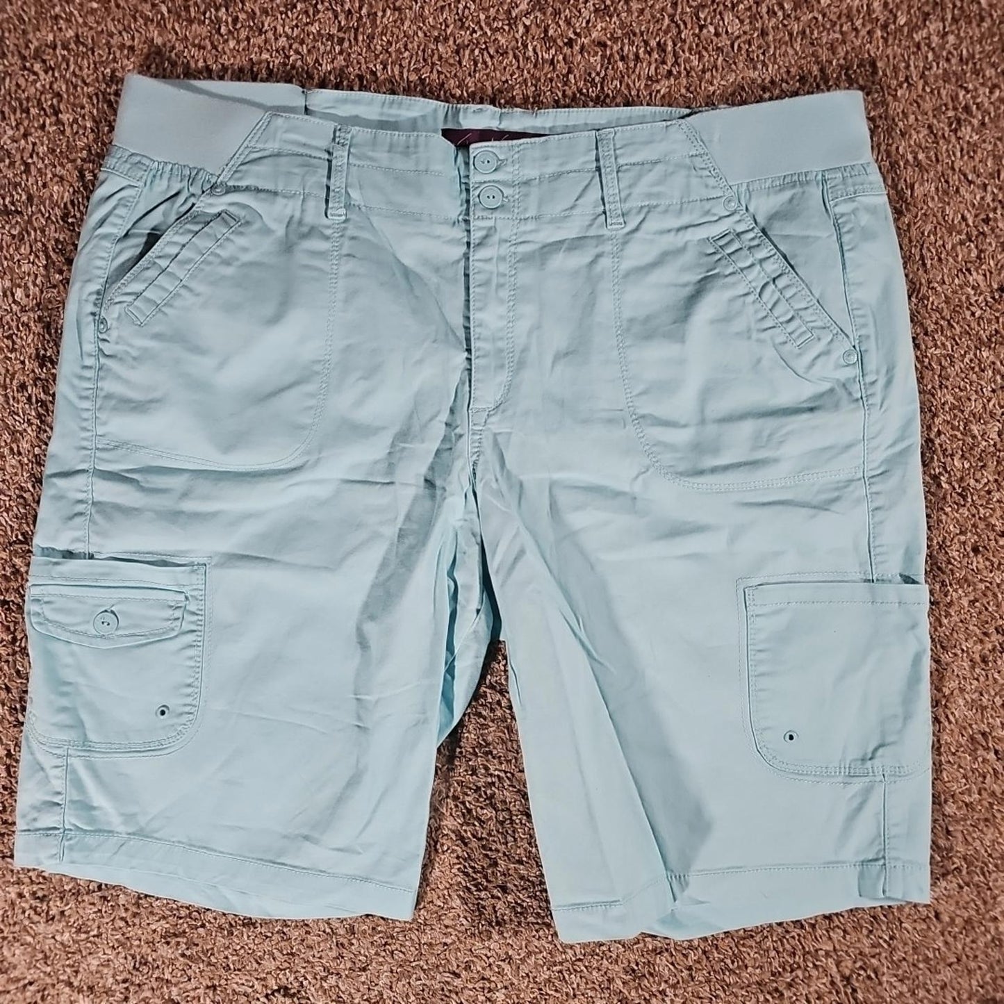 Gloria Vanderbilt Sz 16 Marion Shorts