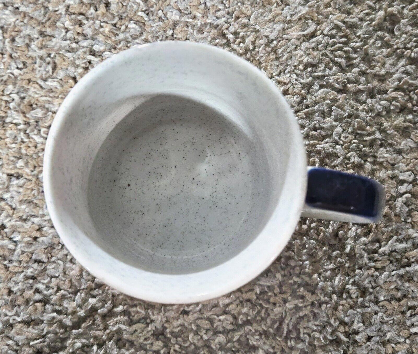 Grand Ole Opry Vtg Coffee Mug Embossed Farmhouse Logo Blue