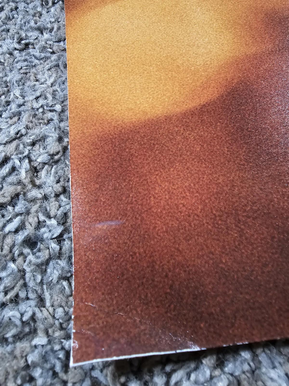 TREK FACTORY RACING Fullsize poster 36x24 Bontrager Shimano