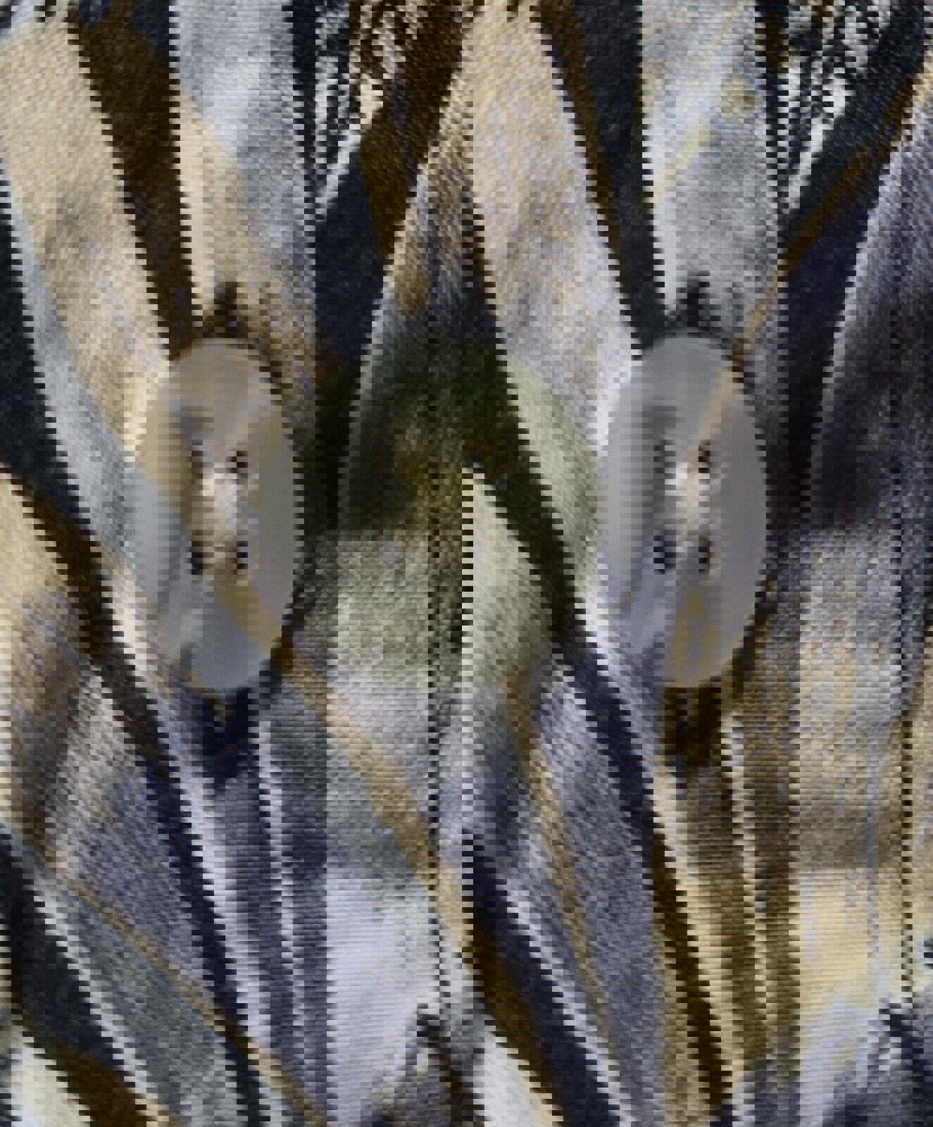 Pierre Cardin Hawaiian Print Button Down Shirt Elephants XL
