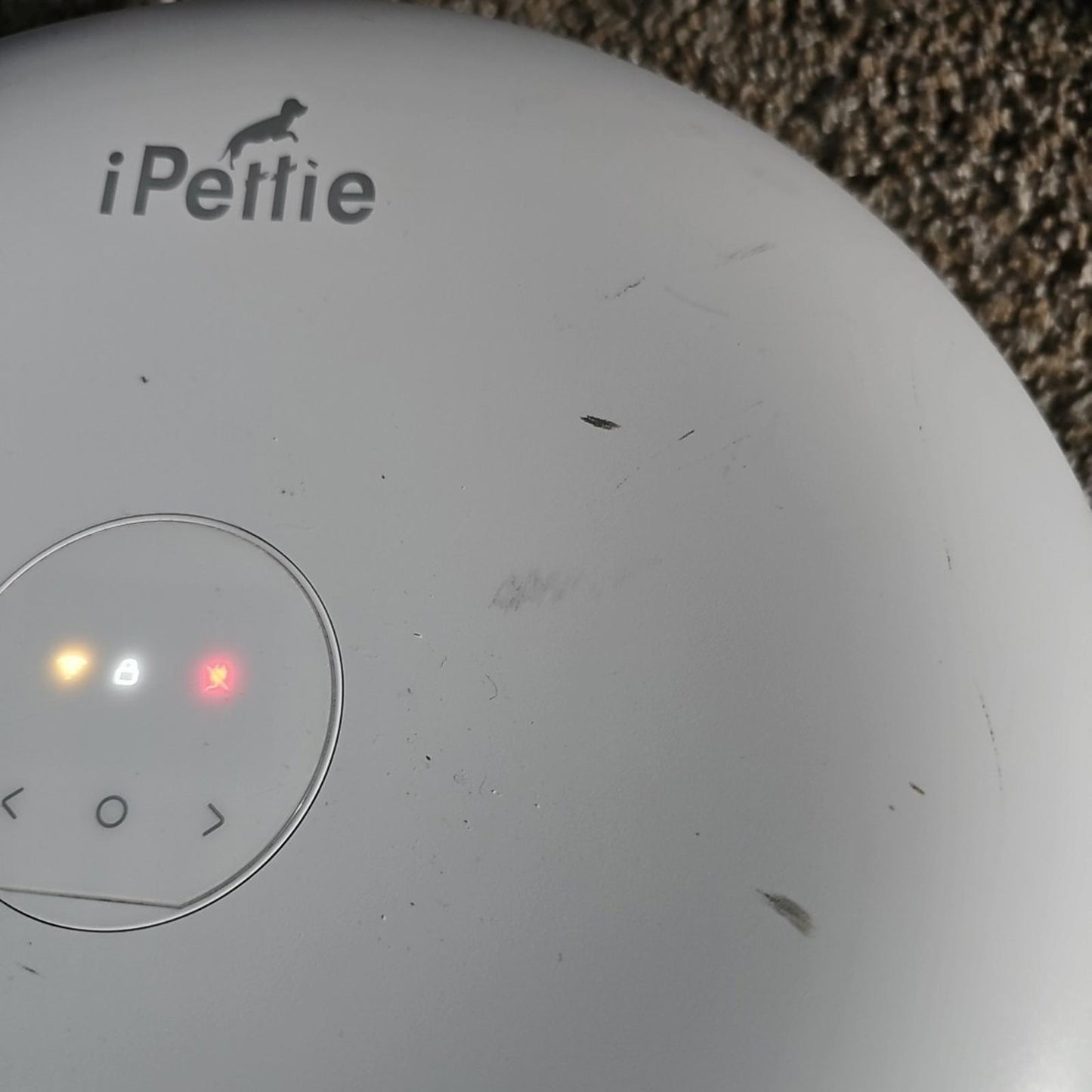 Ipettie 6 Meal Automaric Pet Feeder