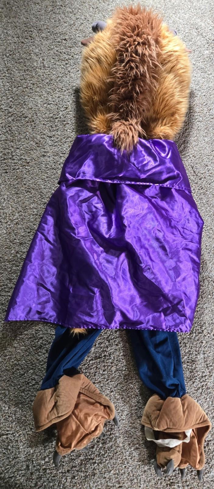 The Disney Store Beauty and The Beast Costume XXS
