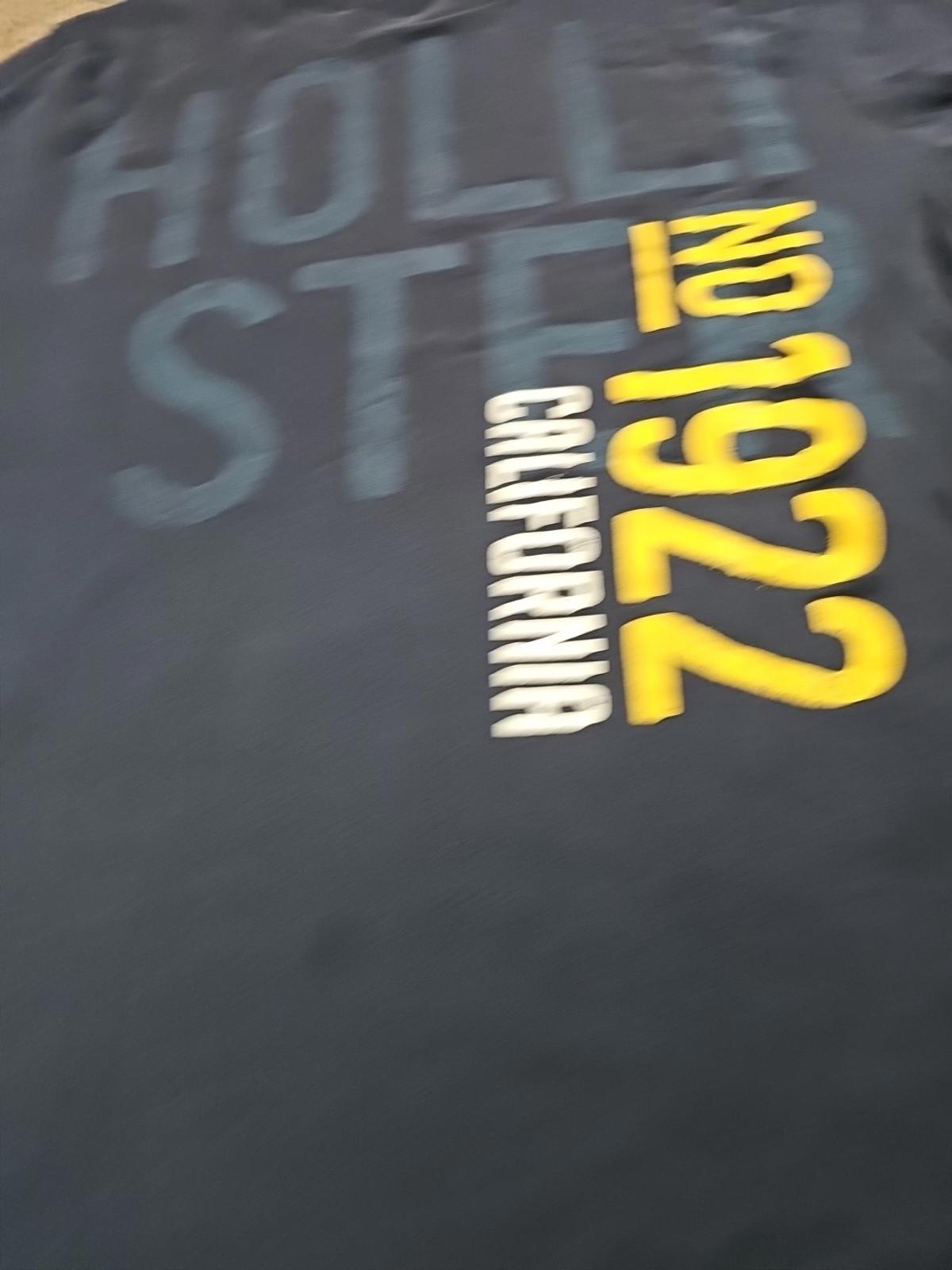 Hollister California 1922 Blue Stain L Tshirt