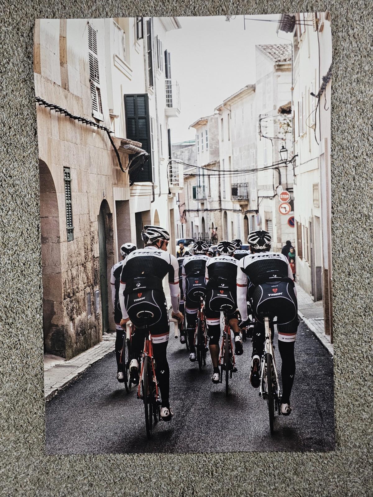TREK FACTORY RACING Fullsize poster 36x24 Bontrager Shimano