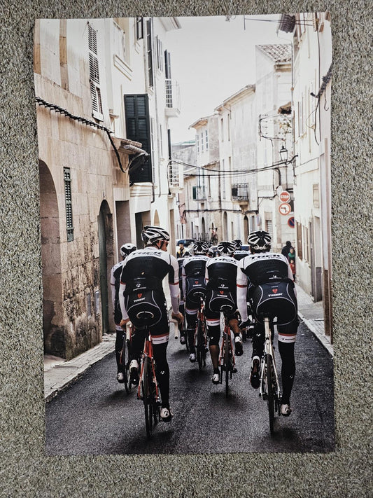 TREK FACTORY RACING Fullsize poster 36x24 Bontrager Shimano