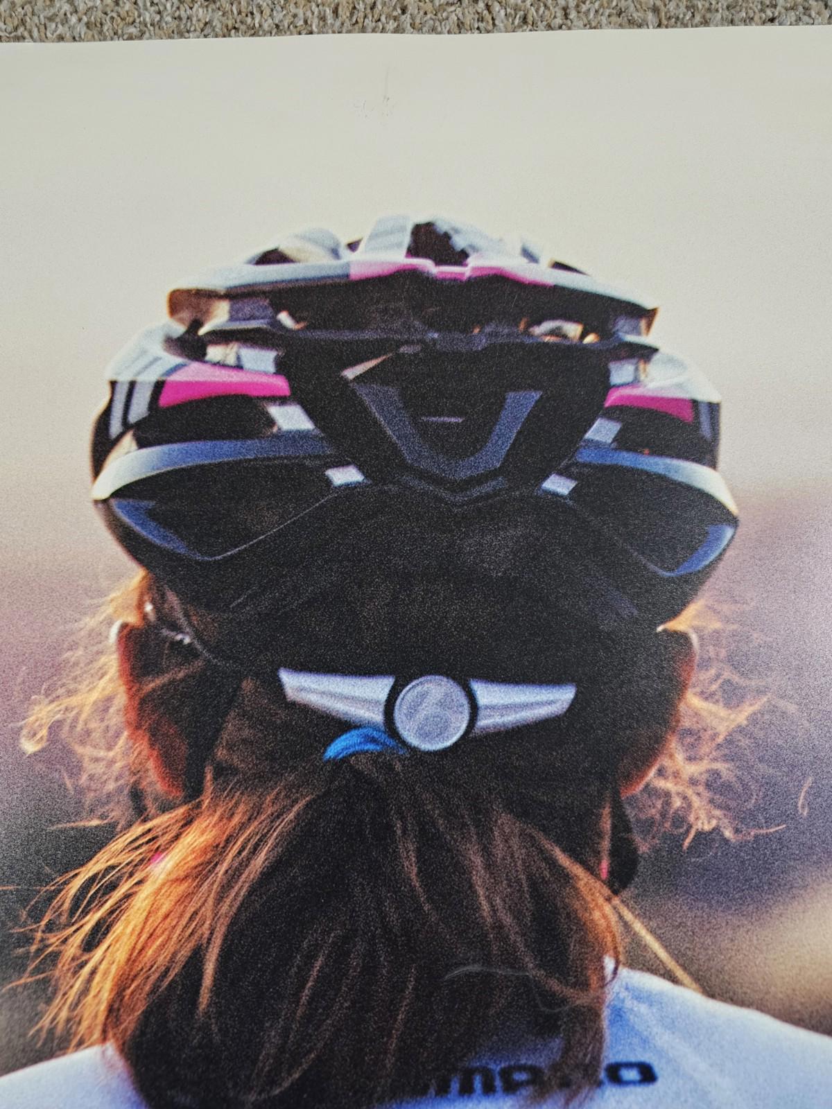 TREK FACTORY RACING Fullsize poster 36x24 Bontrager Shimano