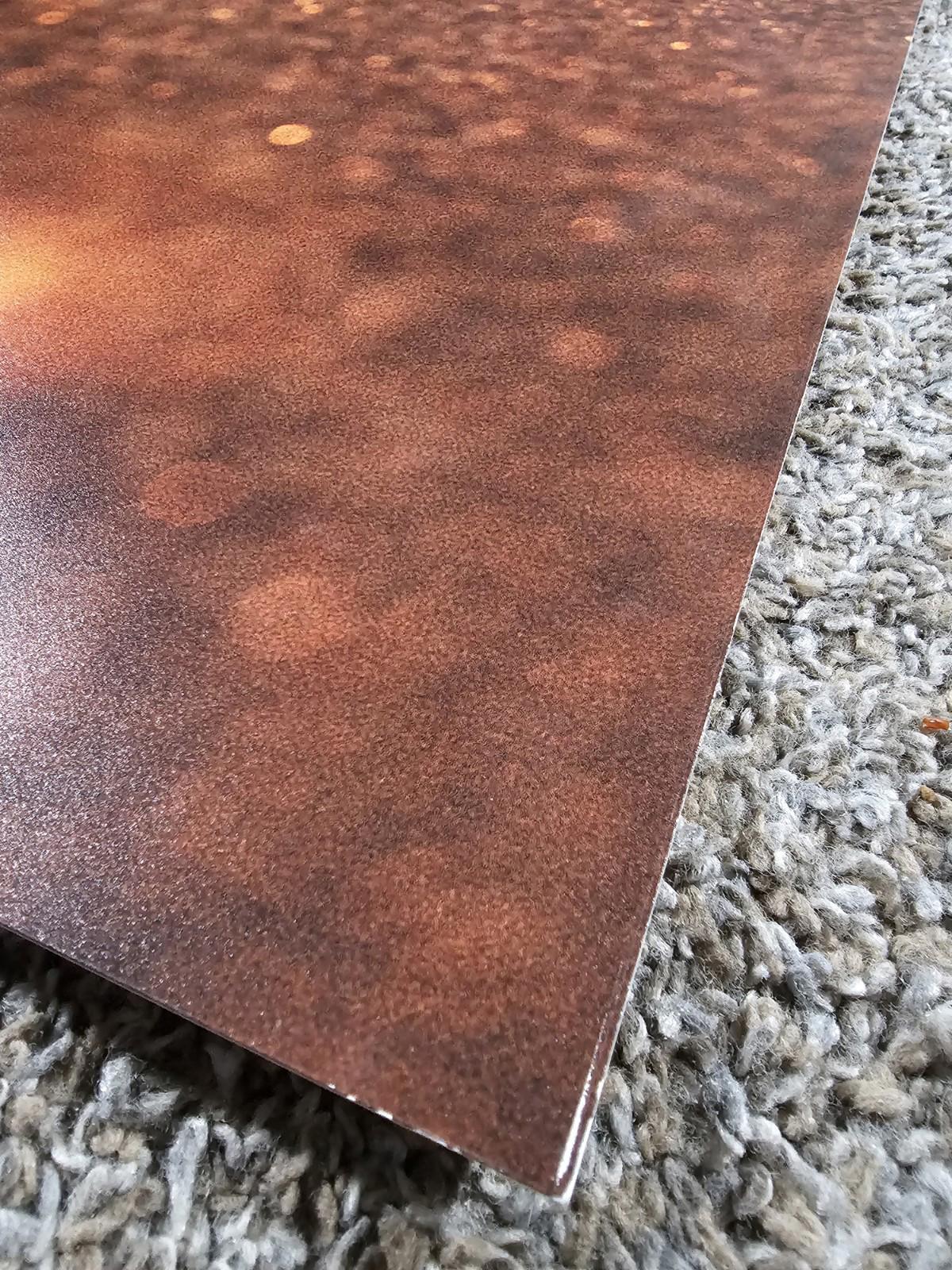 TREK FACTORY RACING Fullsize poster 36x24 Bontrager Shimano