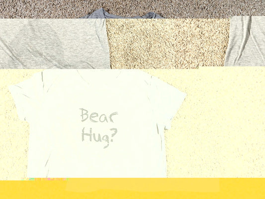 Bear Hug? Flip Up Mask Tshirt Gray