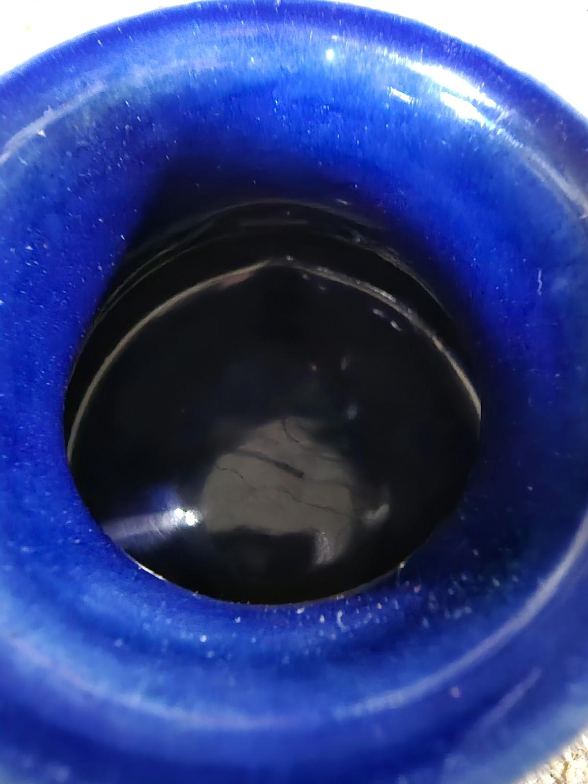 1991 Anglers Expressions Trout Boise Idaho USA Mug Blue White