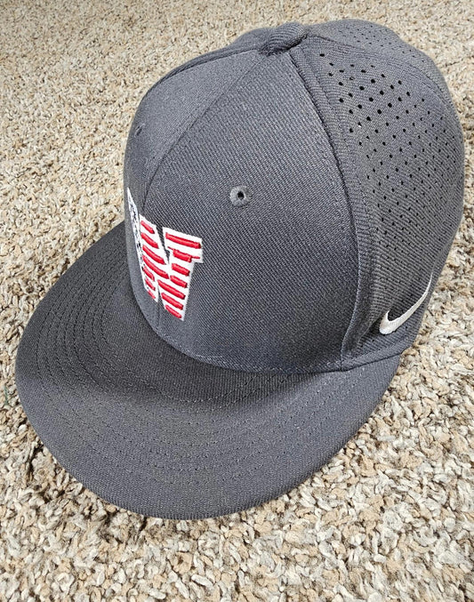 Nike True Dri-Fit Hat Stars & Stripes W Gray Fitted