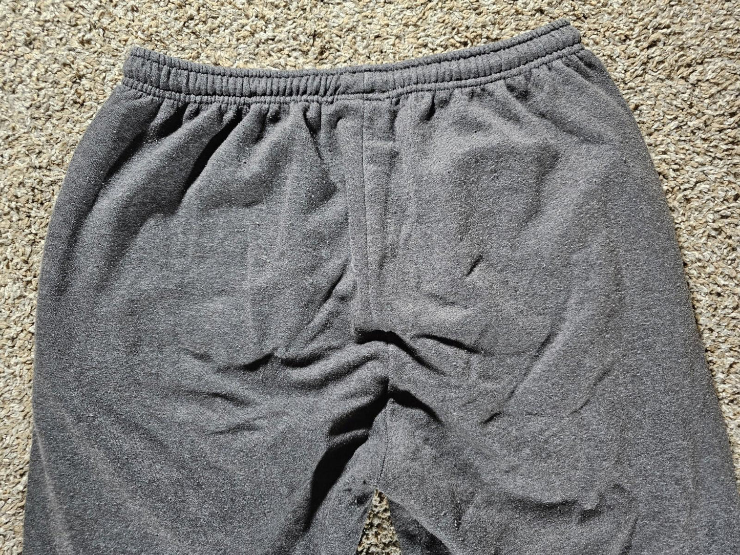 UW La Crosse Champion sweatpants Gray Medium