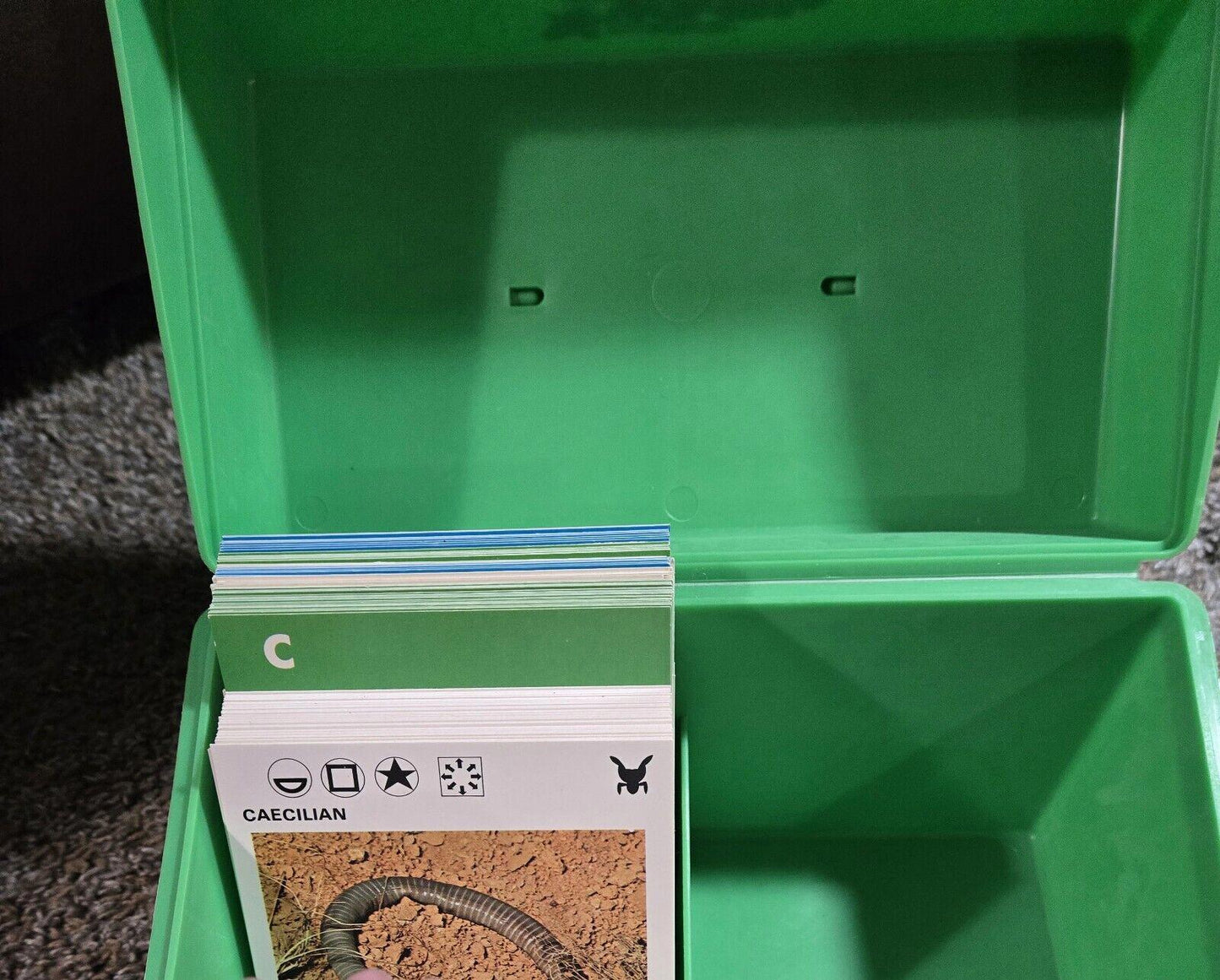 Illustrated Wildlife Treasury Green Plastic Box As Is With Some Cards