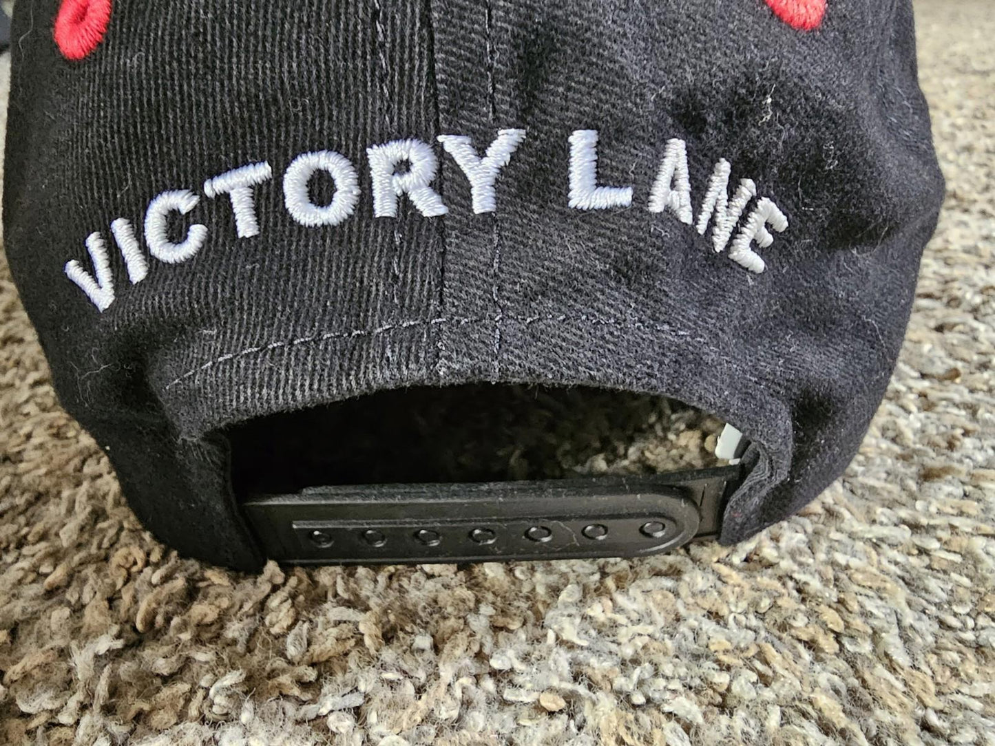 Hendrick Motorsports VICTORY LANE Delphi Strapback hat