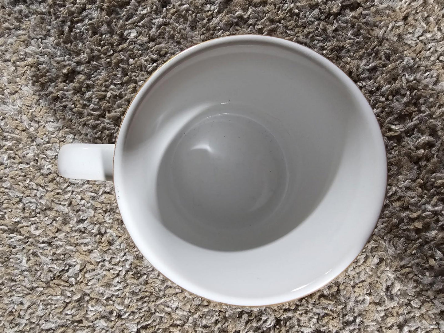 Polar Bear Coffee Mug