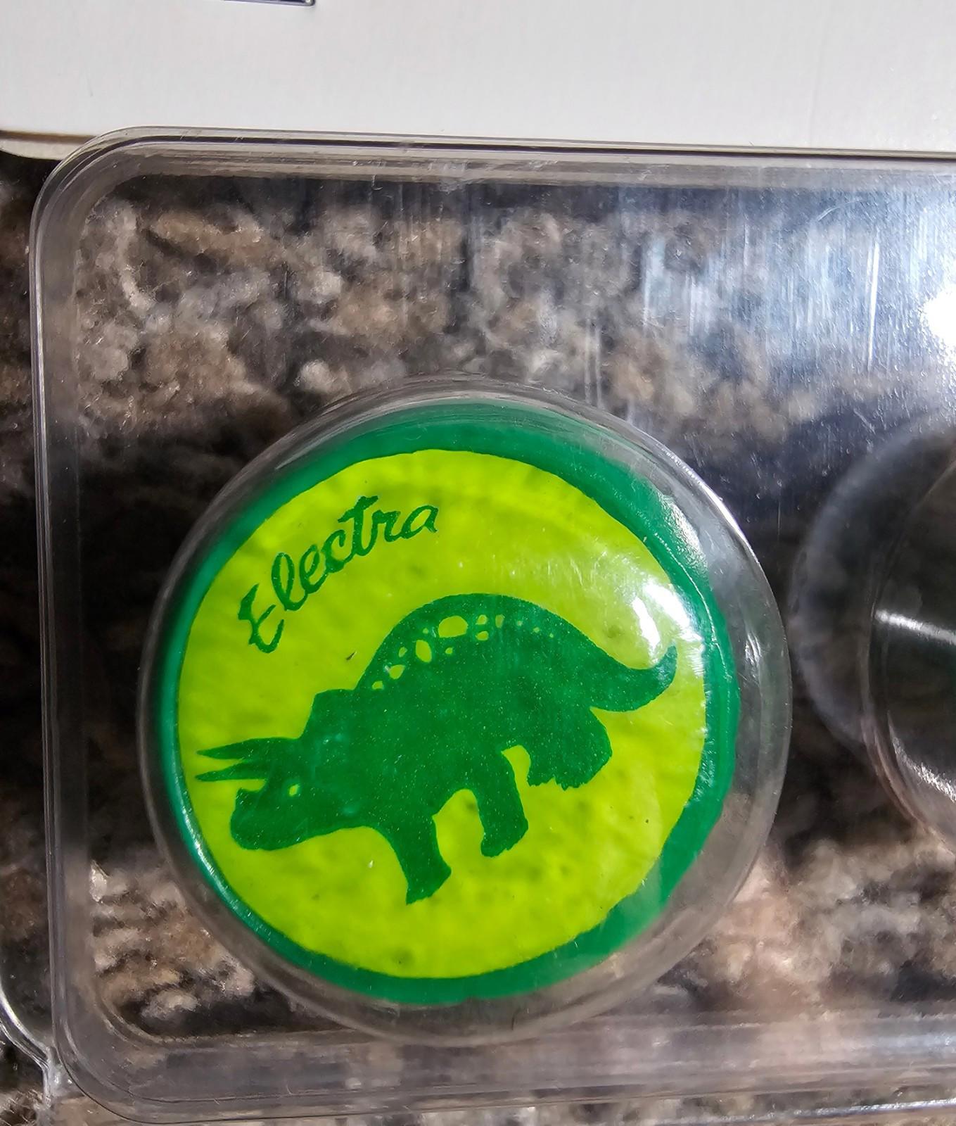 *NEW* Electra Bicycle Company TREK Dinosaur Valve Caps CUTE