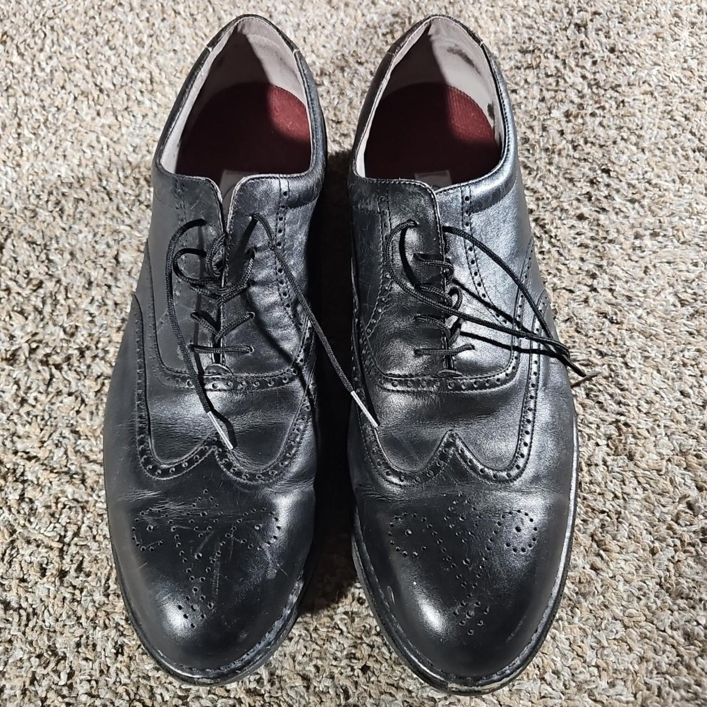 Dresssports By Rockport 14W Wingtip Black Dress Shoes