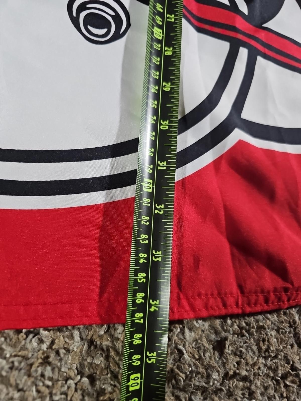 Wincraft Sports Flag Wisconsin Badgers Helmet